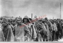 Сколько бойцов Красной Армии попало в плен в Великую Отечественную Список военных ссср попавшие в плен